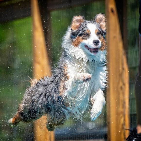 Meet your Posher, Jennifer - Picture 1 of 1